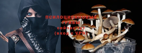 кокс Аркадак