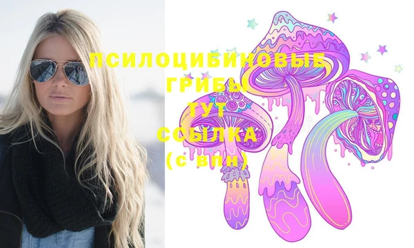 твердый Армянск