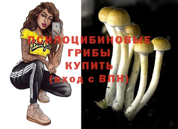 кокс Аркадак