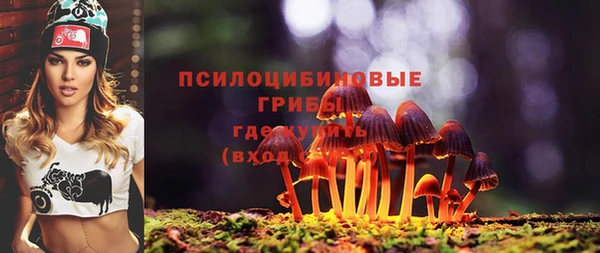 твердый Армянск