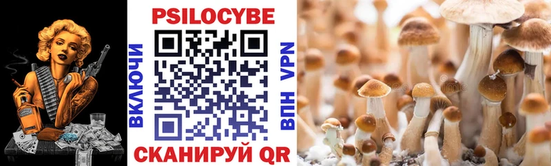 Галлюциногенные грибы мицелий  как найти закладки  Навашино 